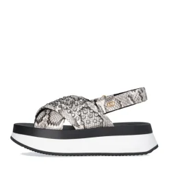 Sandali Platform con Borchie Gioiello LIU JO Dreamy Sandal 02 stampa Pitone